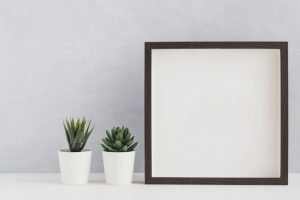 two-white-potted-cactus-plant-with-blank-white-photo-frame-desk-against-wall_23-2147920685