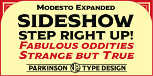 Modesto Fonts free download from GoDesign.pk
